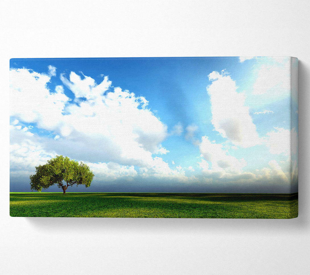  A Canvas Print of Beauty Of Nature Canvas Art