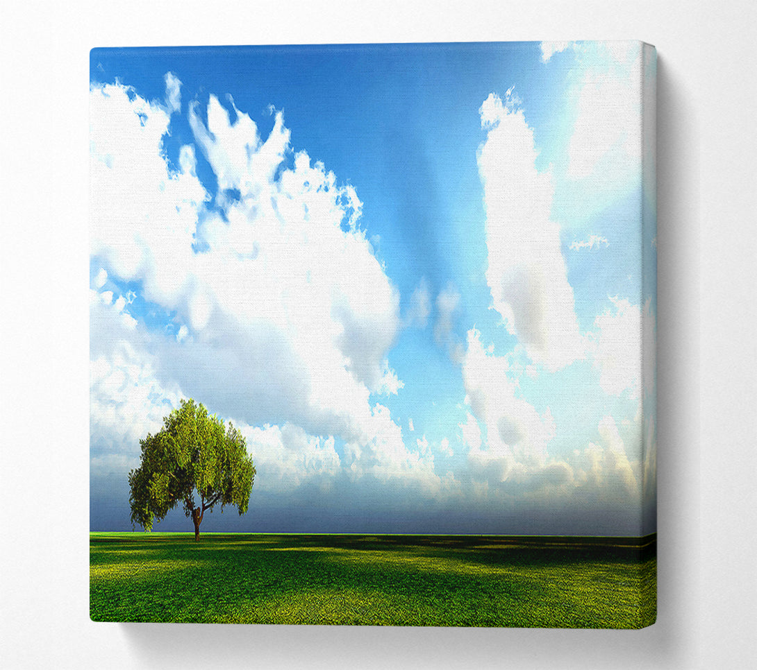  A Canvas Print of Beauty Of Nature Canvas Art