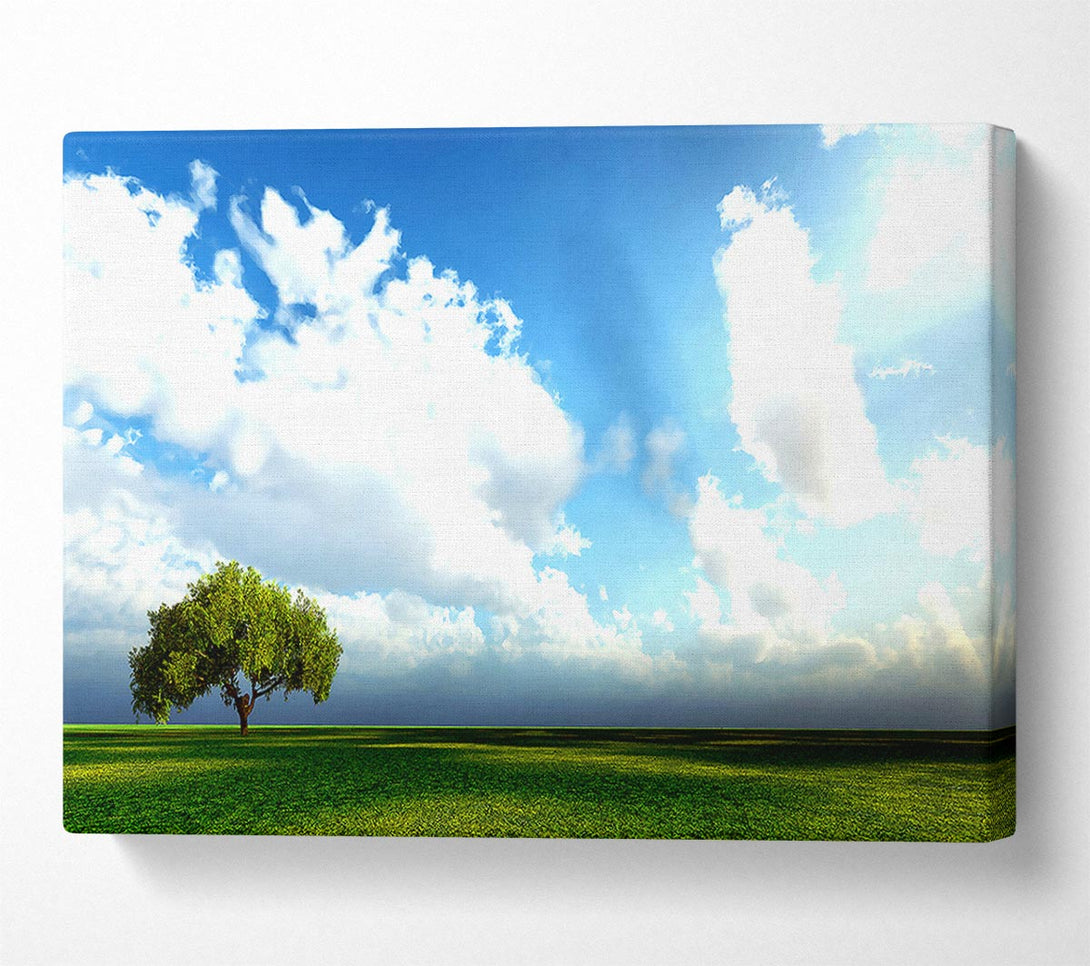  A Canvas Print of Beauty Of Nature Canvas Art
