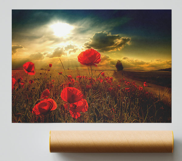 Sunlight Poster