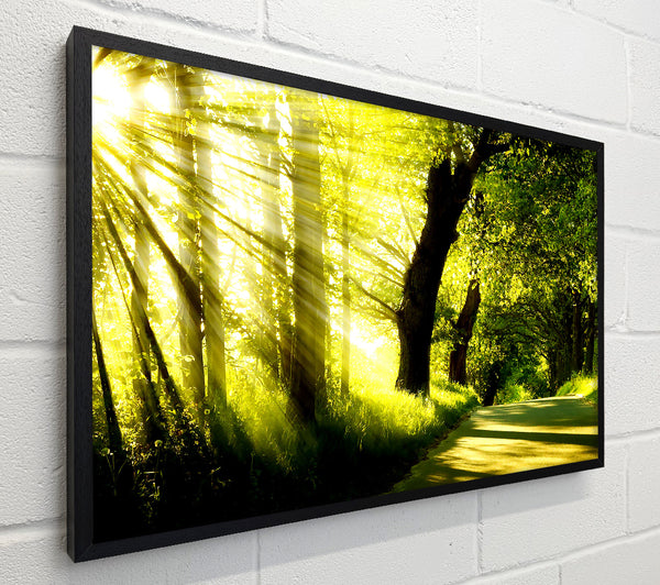Green Nature Dual Monitor-Other
