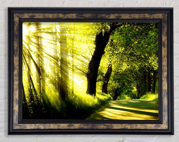Green Nature Dual Monitor-Other Framed Print