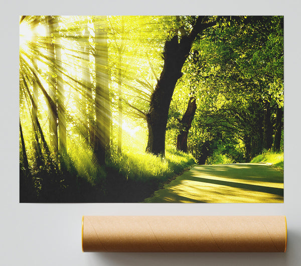Green Nature Dual Monitor-Other Print