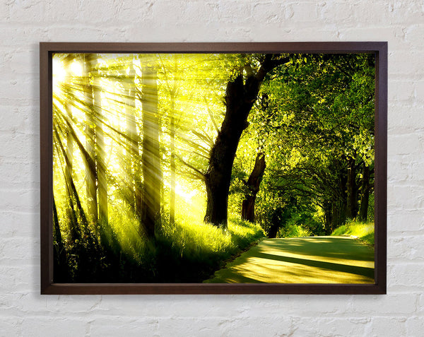 Green Nature Dual Monitor-Other Framed Print