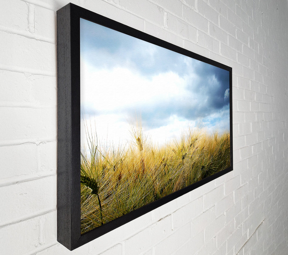  A Canvas Print of Dreamy Fields Canvas Print