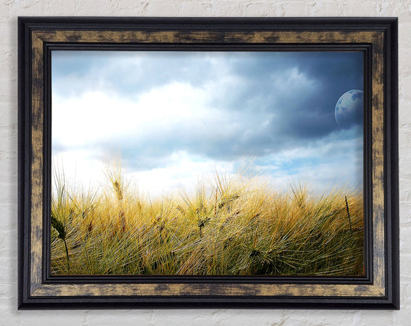Dreamy Fields Framed Print