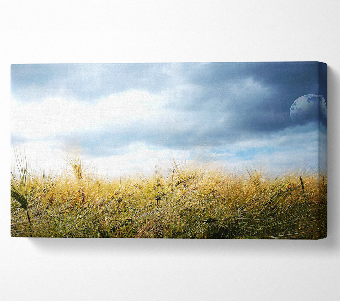  A Canvas Print of Dreamy Fields Canvas Print