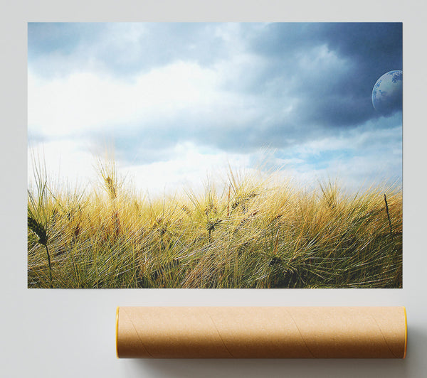 Dreamy Fields Poster