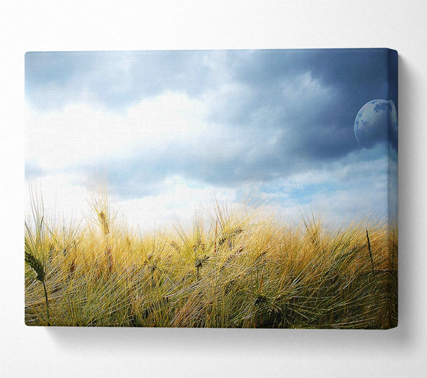  A Canvas Print of Dreamy Fields Canvas Print