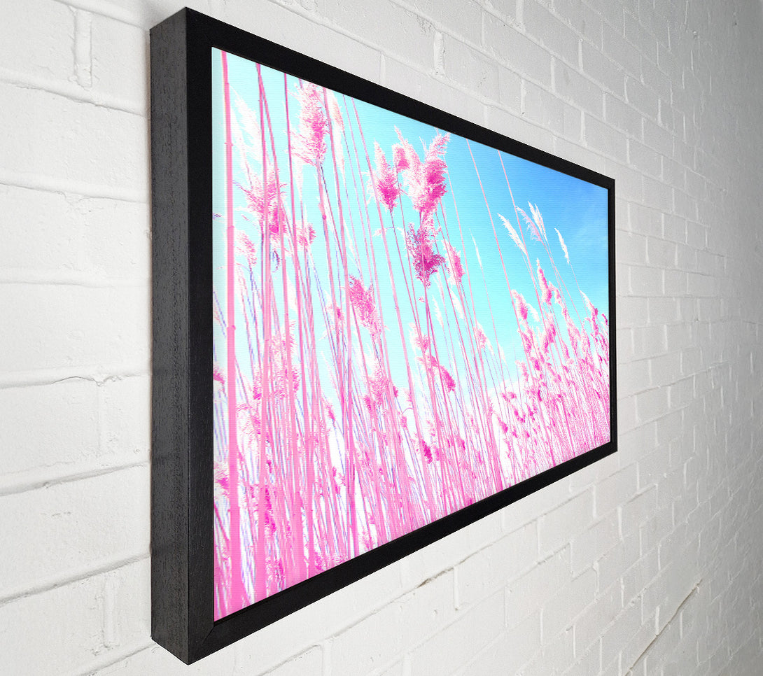  A Canvas Print of Grass On Beach Canvas Print