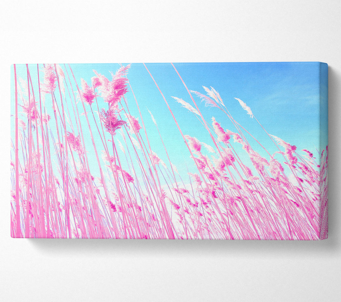  A Canvas Print of Grass On Beach Canvas Print
