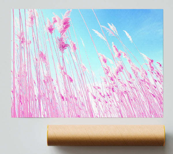 Grass On Beach Poster