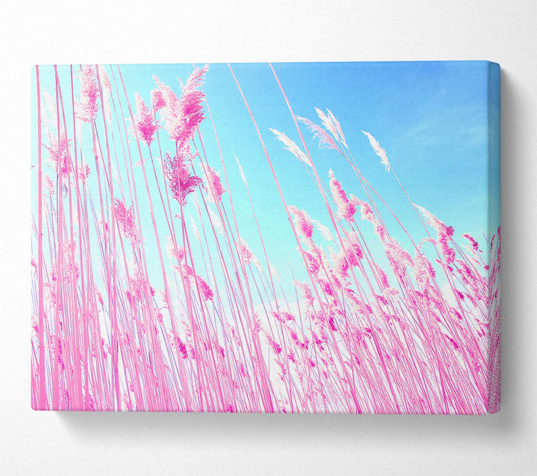  A Canvas Print of Grass On Beach Canvas Print