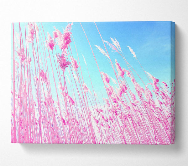  A Canvas Print of Grass On Beach Canvas Print