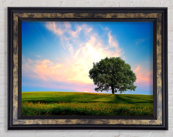 Fresh Nature Framed Print