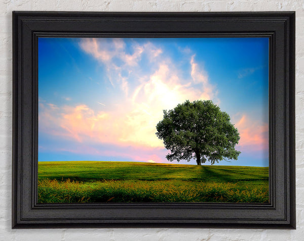 Frische Natur