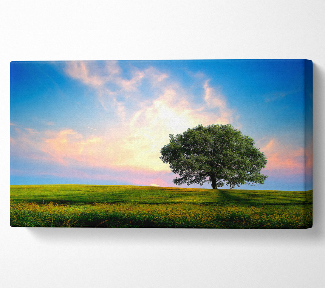  A Canvas Print of Fresh Nature Canvas Art