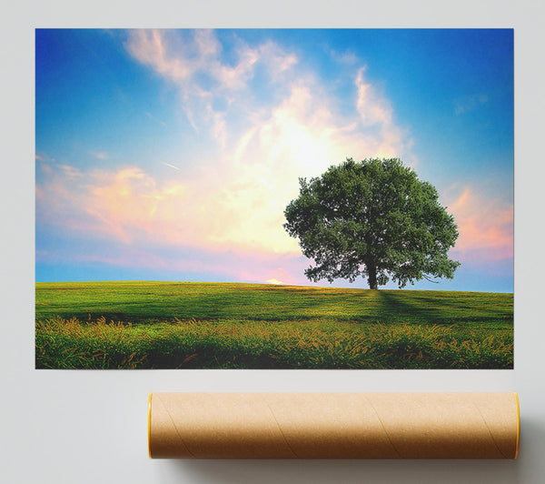 Fresh Nature Print