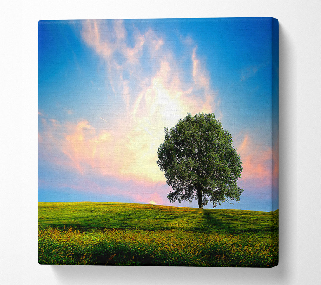  A Canvas Print of Fresh Nature Canvas Art