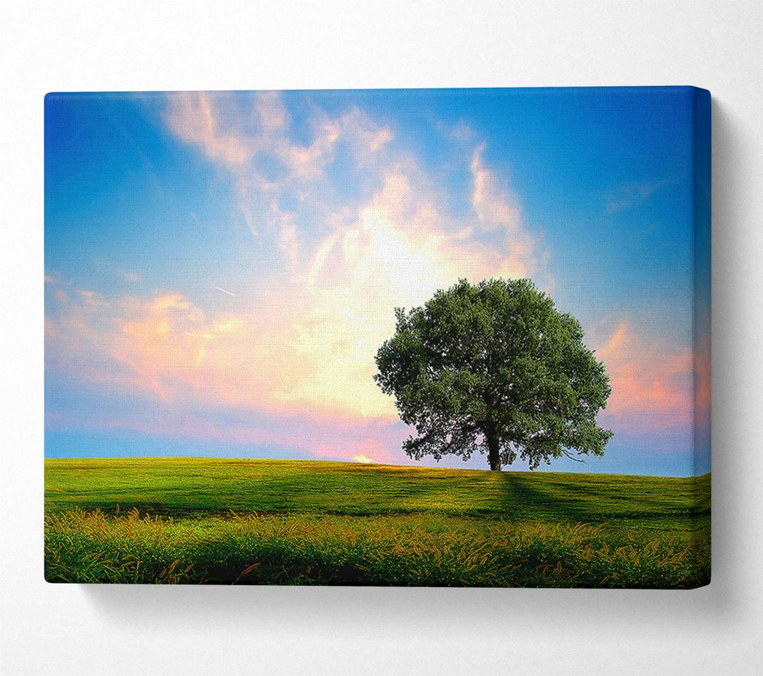  A Canvas Print of Fresh Nature Canvas Art