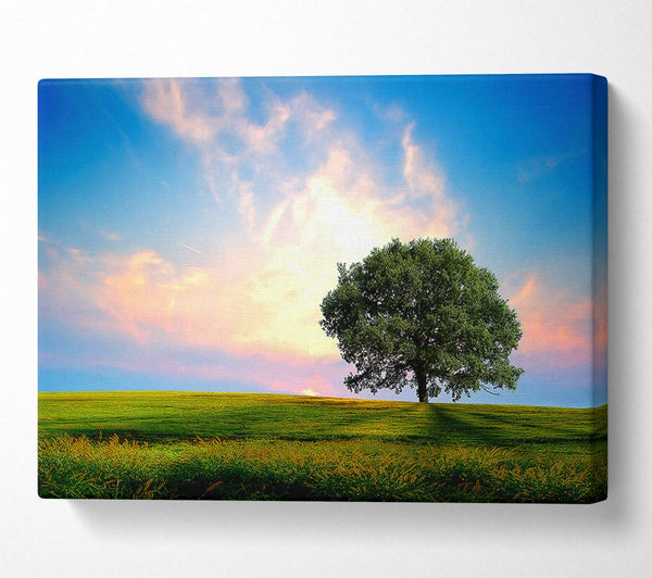  A Canvas Print of Fresh Nature Canvas Art