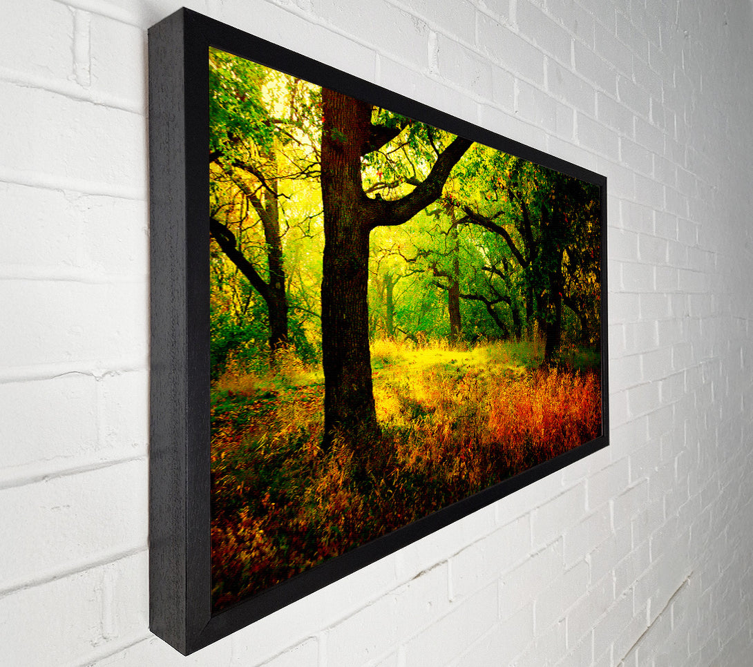  A Canvas Print of Autumn Wonderland Canvas Wall Art