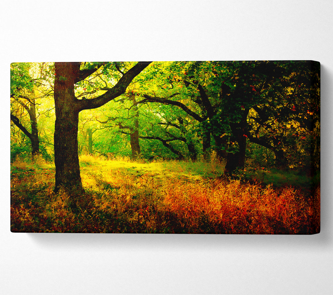  A Canvas Print of Autumn Wonderland Canvas Wall Art