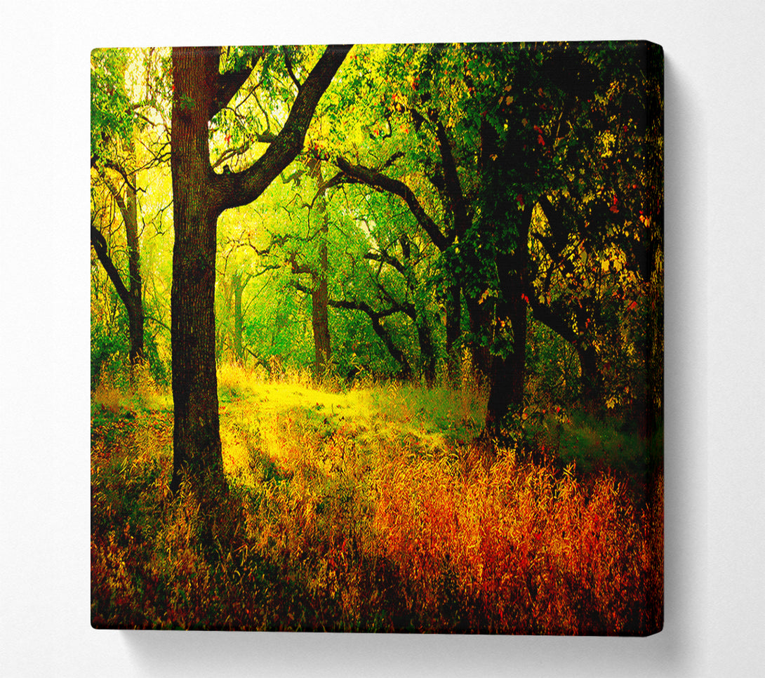  A Canvas Print of Autumn Wonderland Canvas Wall Art