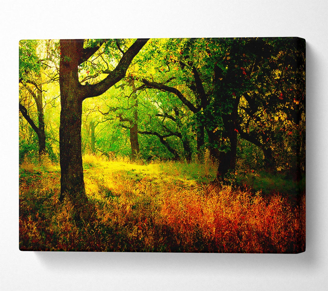  A Canvas Print of Autumn Wonderland Canvas Wall Art