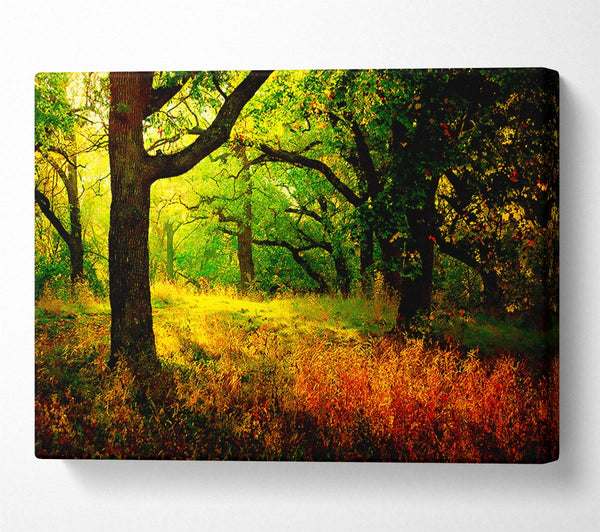  A Canvas Print of Autumn Wonderland Canvas Wall Art