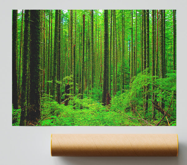 Nothing But Trees Print