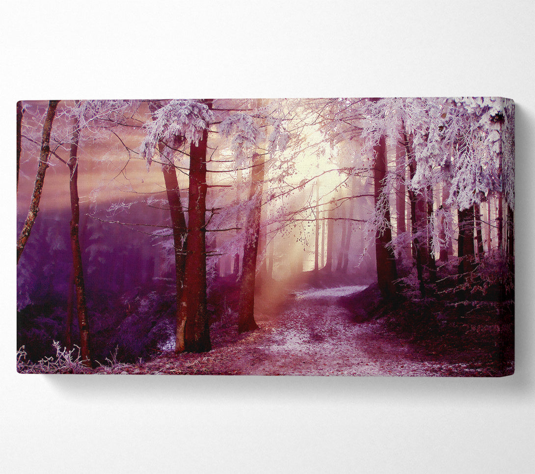  A Canvas Print of Winter Woodland Sunbeam Canvas Art