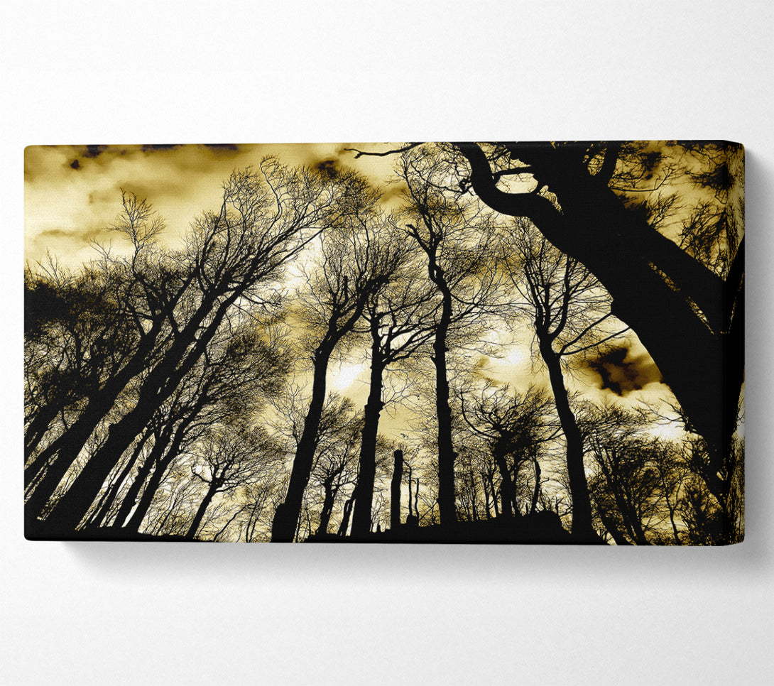  A Canvas Print of Woodland Skies Canvas Print