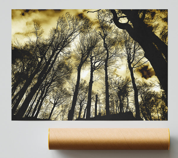 Woodland Skies Print