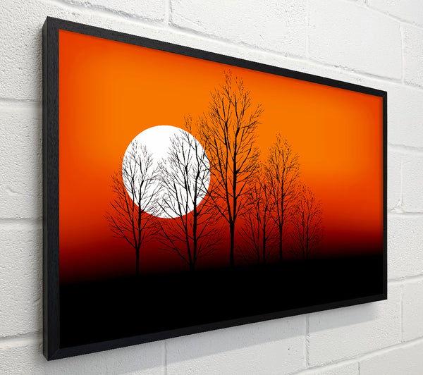 Orange Sunset Trees