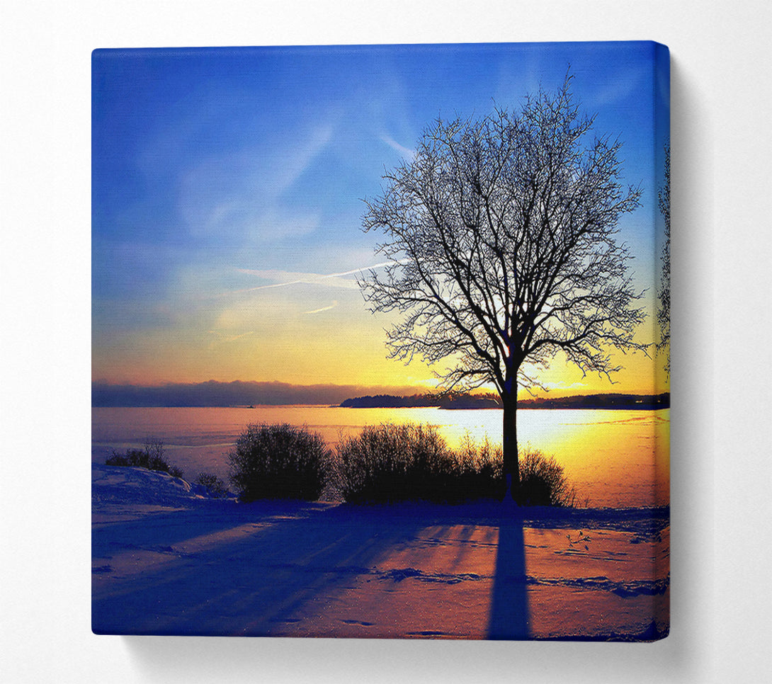  A Canvas Print of A Calm Winters Day Canvas Print