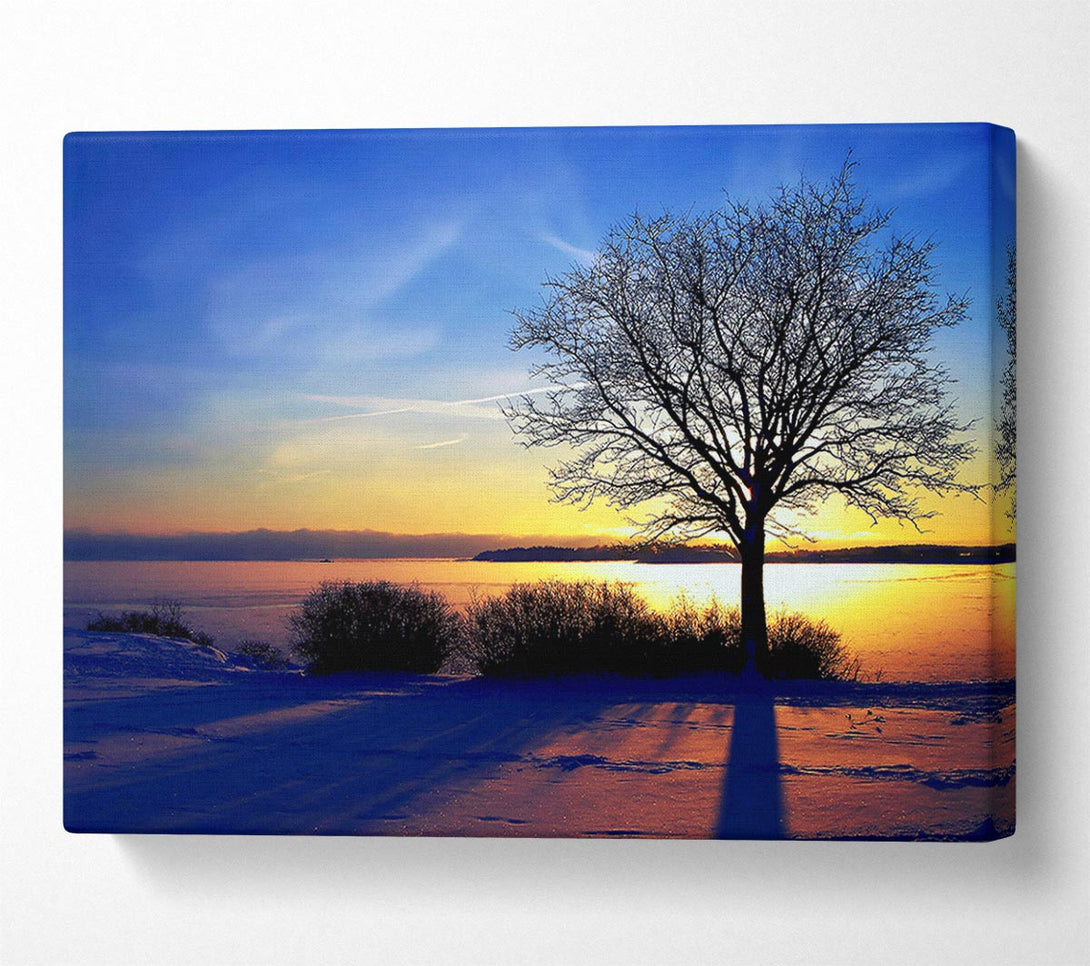  A Canvas Print of A Calm Winters Day Canvas Print