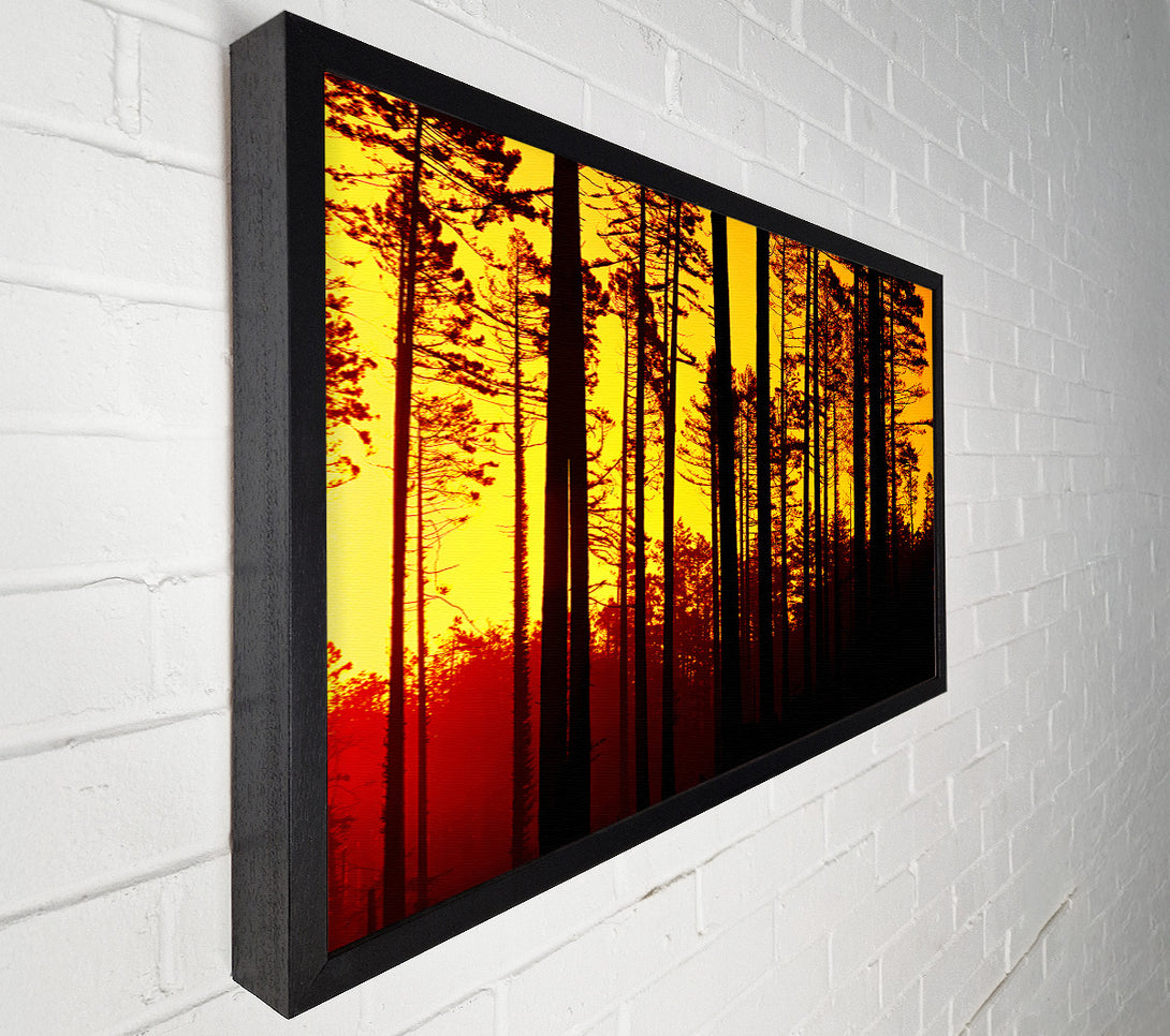  A Canvas Print of Through The Trees Canvas Wall Art
