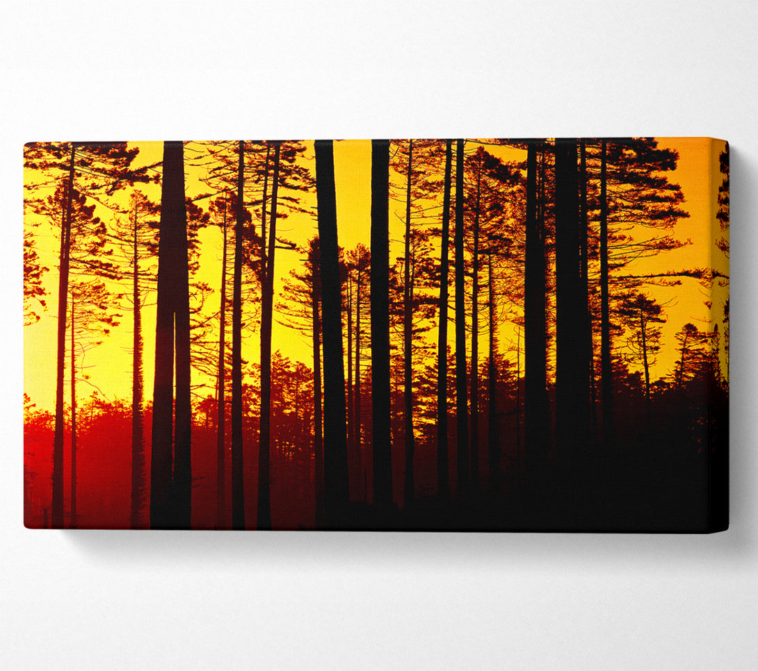  A Canvas Print of Through The Trees Canvas Wall Art