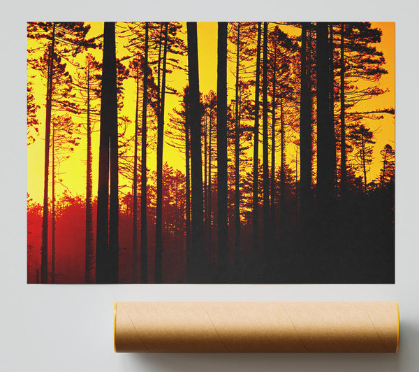 Through The Trees Print