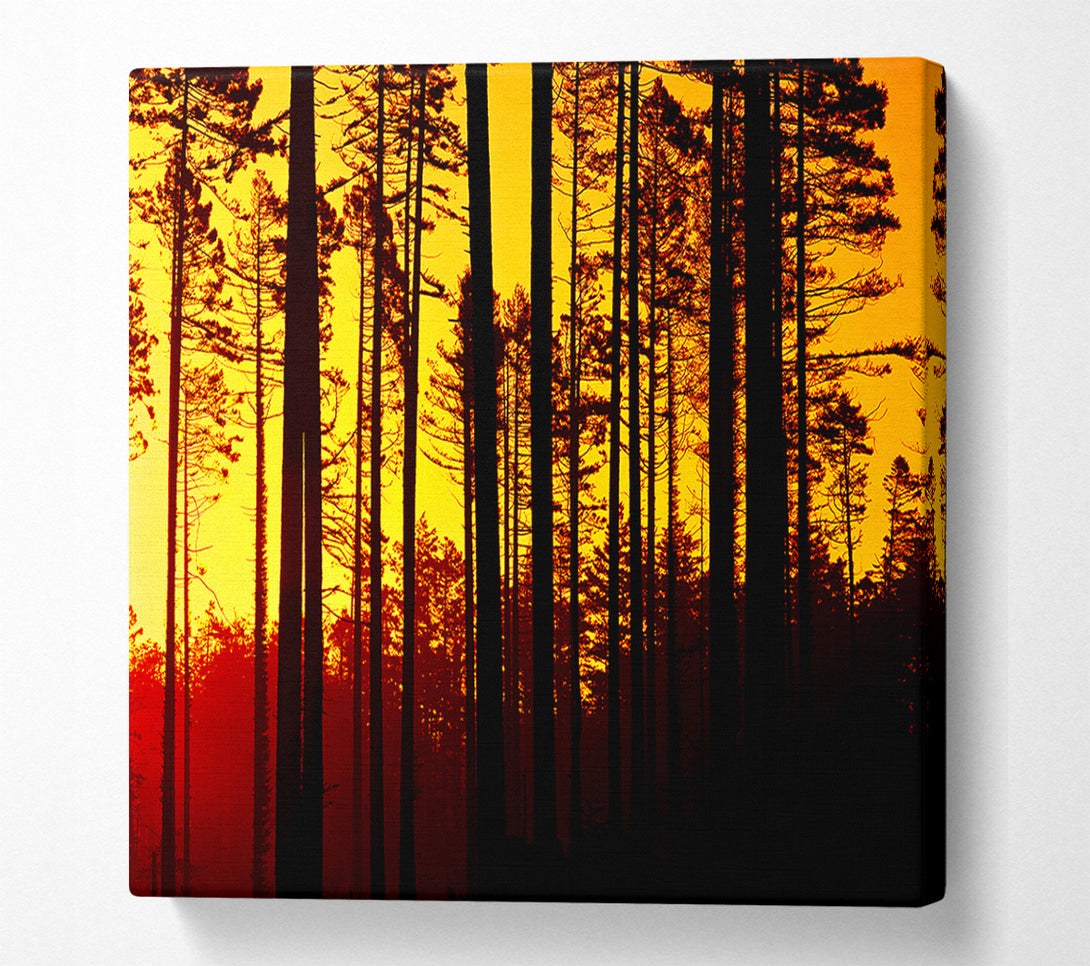  A Canvas Print of Through The Trees Canvas Wall Art