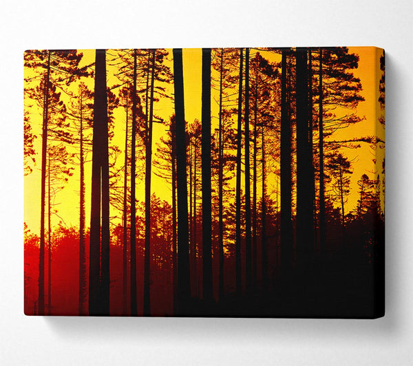  A Canvas Print of Through The Trees Canvas Wall Art