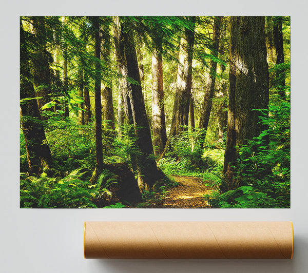 Sunbeam Woodland Print