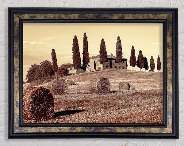French Countryside Framed Print