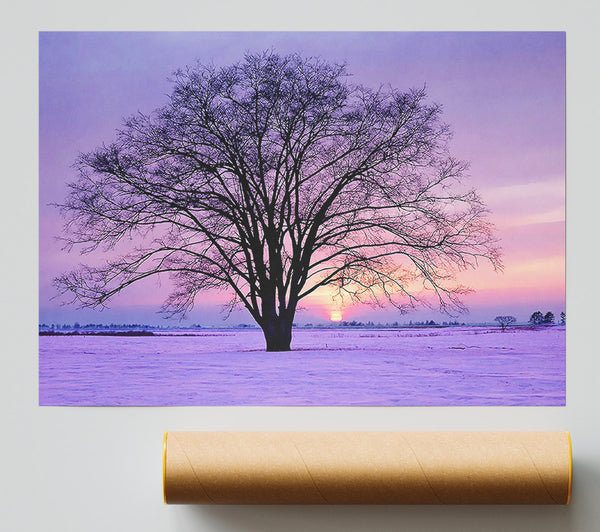 Sunrise In The Purple Winter Poster