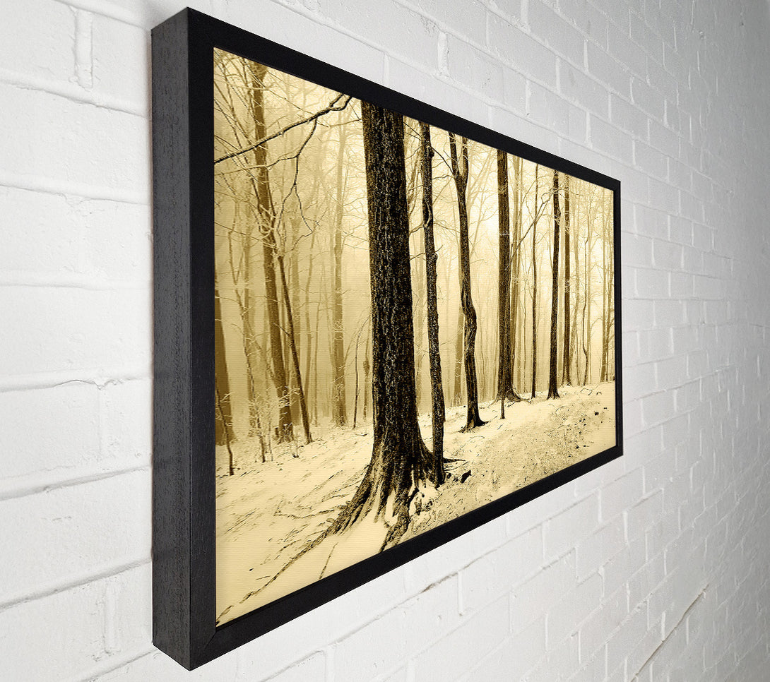  A Canvas Print of Winter Woodland Snow Canvas Print