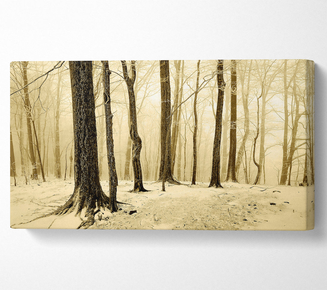  A Canvas Print of Winter Woodland Snow Canvas Print