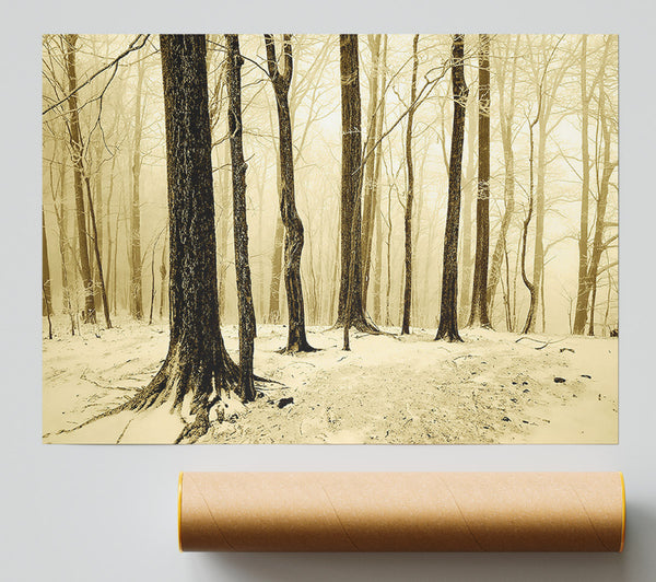 Winter Woodland Snow Poster