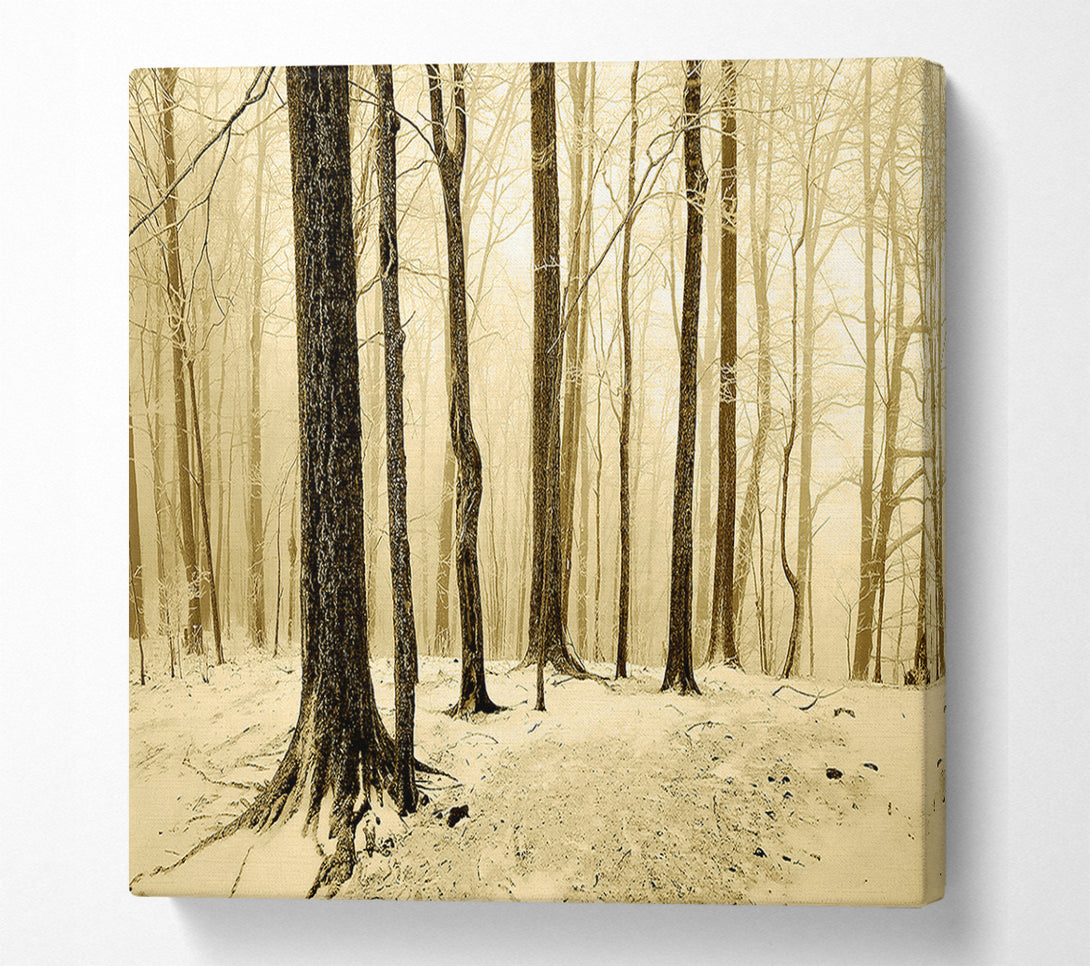  A Canvas Print of Winter Woodland Snow Canvas Print