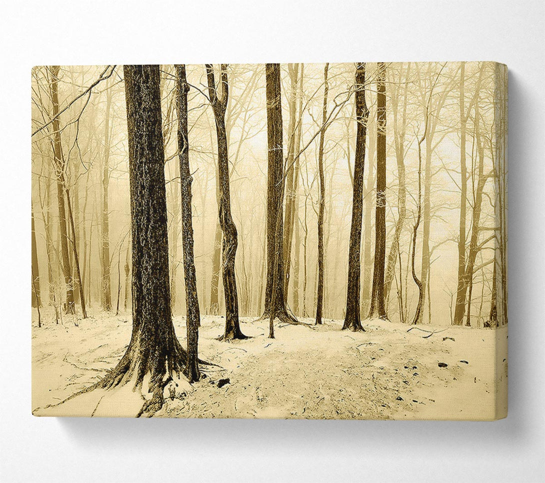  A Canvas Print of Winter Woodland Snow Canvas Print